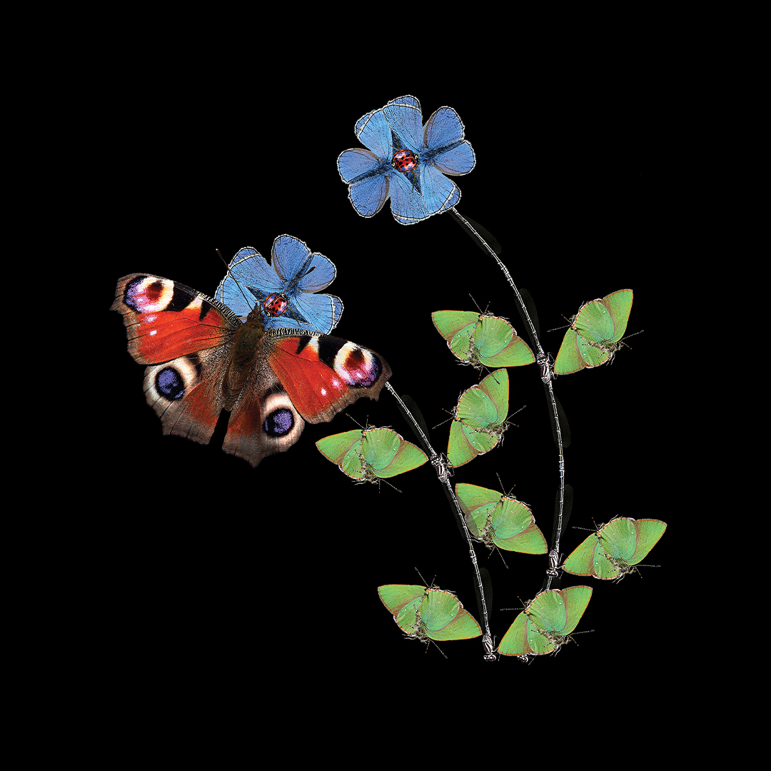 The Girl with the Dragon Tattoo (2011) | Coolidge Corner Theater, image size:1080x1080